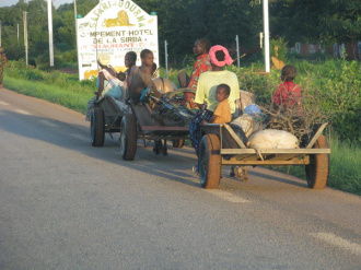 03 Charettes Au Bord De La Route